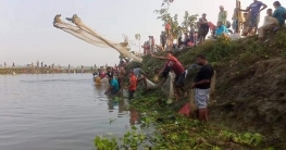 ঠাকুরগাঁওয়ে বুড়ি বাঁধে মাছ ধরা উৎসব