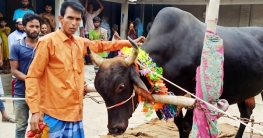 ঠাকুরগাঁওয়ের ‘বিগবস’ কিনলেই ফ্রি মোটরসাইকেল