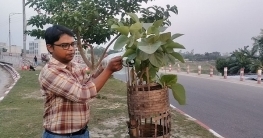 পরিবেশের ভারসাম্য রক্ষায় গাছ উপহার দেন জাহিদ