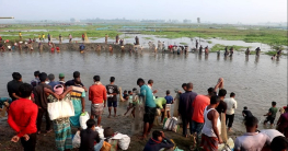 ঠাকুরগাঁওয়ে এ কেমন মাছ ধরা প্রতিযোগিতা!