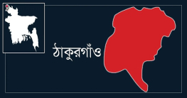 ৭শ হাঁসের মৃত্যুতে দিশাহারা খামারি